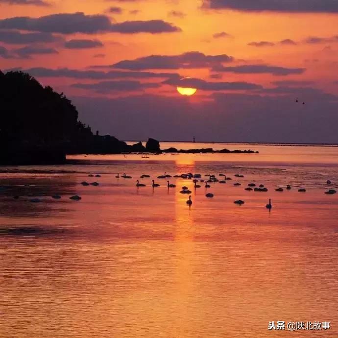 这个最适合冬天来的北方小城，光是海鲜就能让你吃回票价