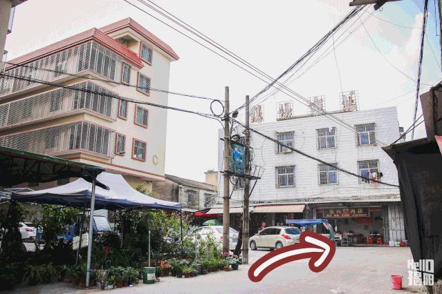 揭阳绿豆饼老字号,广东绿豆饼12.9元12个