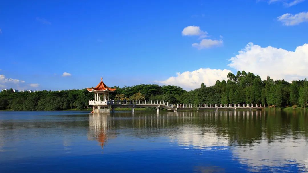 广州凉爽又好玩公园在哪里,夏季广州公园游玩攻略