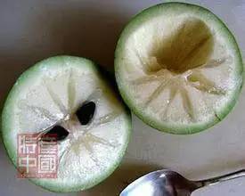 世界稀奇水果品种大全,世界热带奇特水果品种介绍