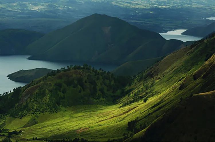 全球有哪些主要咖啡生产国,印度尼西亚咖啡产地