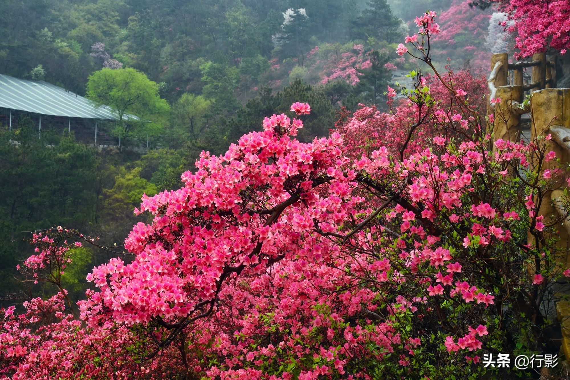 武汉云雾山游玩攻略,安陆云雾山和黄陂云雾山