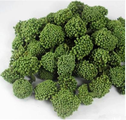 三七花的区别图,三七花怎么分辨真假