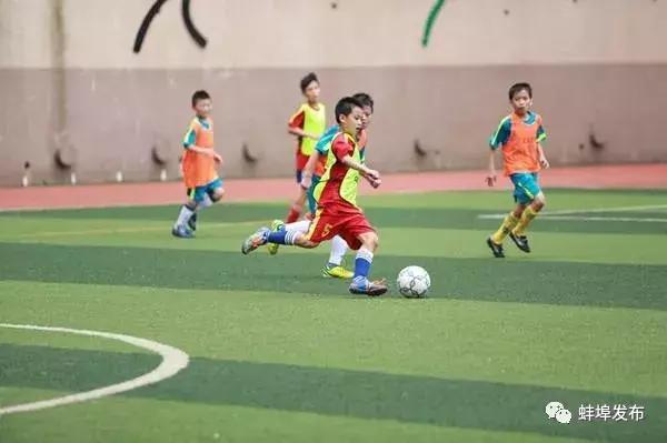 厉害了！蚌埠42人入选这份含金量十足的最佳阵容名单，有你家孩子吗？