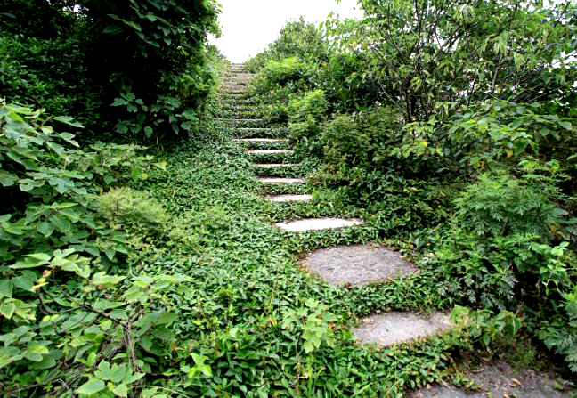 说文解字第1章,桃之夭夭有蕡其实中的蕡怎么读