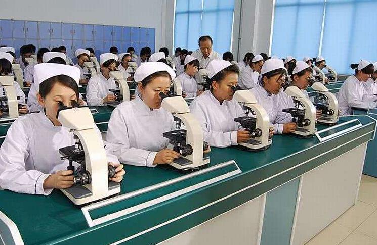 国内综合排名较好的中医药大学,最可能进入双一流的中医药大学