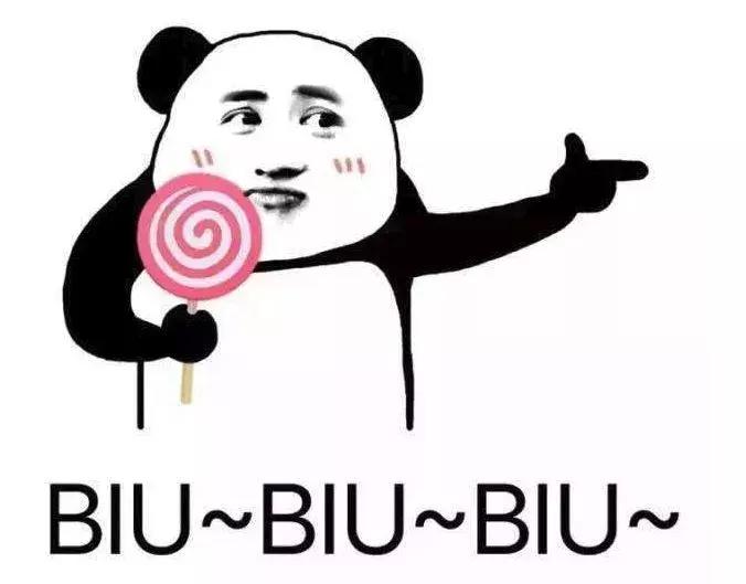 pola轻奢,低调的奢华大牌