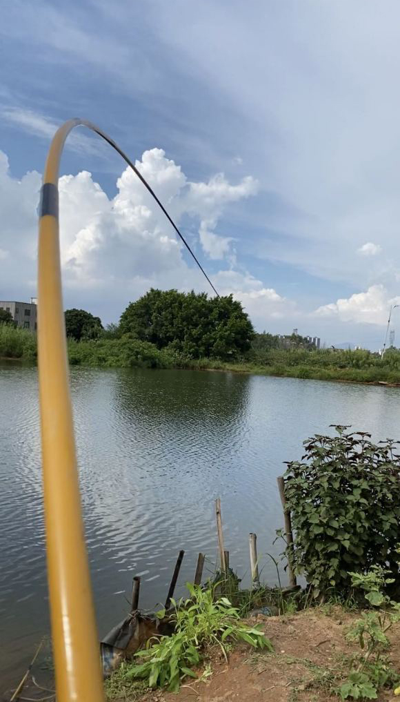 为什么鱼线老是从竿稍打结处断,为什么竿断了鱼会跑