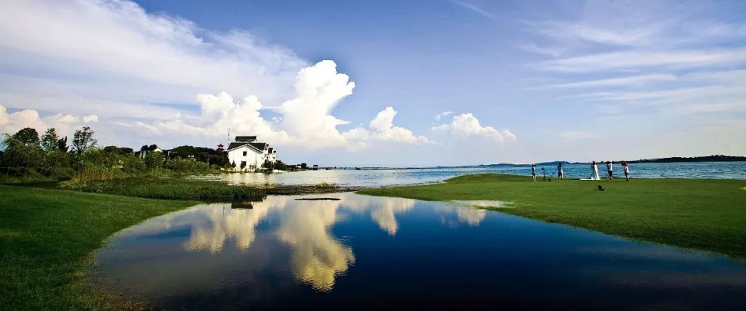 2020武汉大爆发,武汉再次爆发