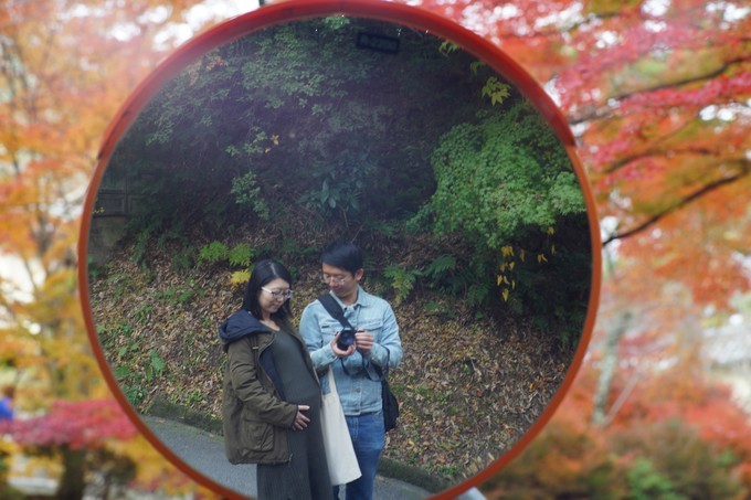 京都赏枫2022,京都赏枫必去景点有哪些好玩的