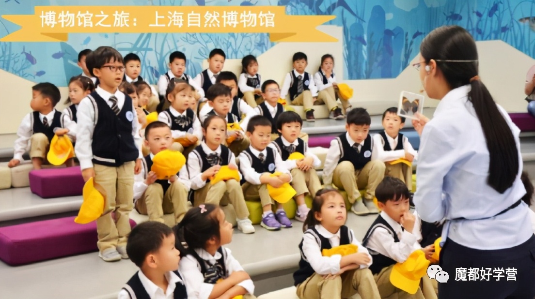 徐汇区一贯制学校,徐汇区九年制一贯制学校