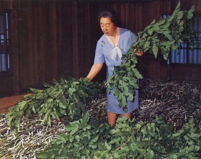 56岁雅子皇后穿杏色套装亮相,珍珠项链贵气,接管皇室养蚕事宜