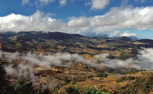 涓俊闆嗗洟甯壎,涓俊闆嗗洟鎵惰传榛旀睙