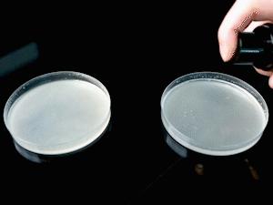 还在担心“脚臭”影响个人形象?黑科技喷雾一喷,24小时无味干爽