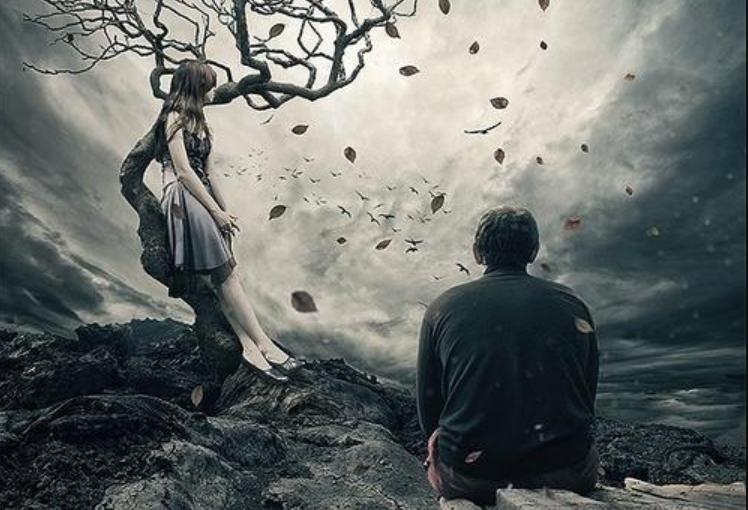 哈佛75年的研究幸福从何而来,哈佛连续75年研究幸福是什么