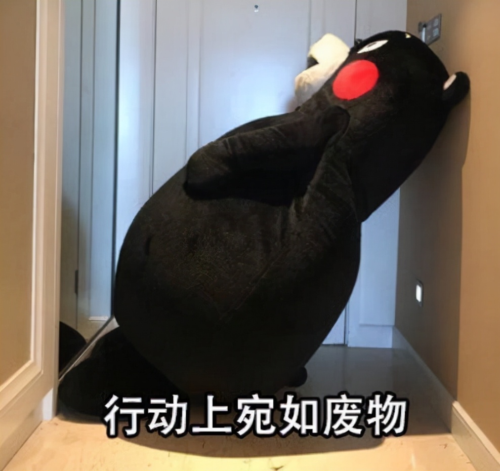 电气毕业什么都不会怎么办？电气专业毕业的都去干什么了？