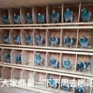 一杯奶茶钱就能买到的礼物,一杯奶茶钱就能买的国货