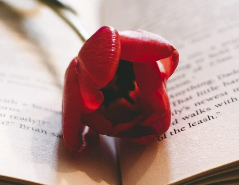 人到中年夫妻无话可说怎么办,人到中年夫妻关系淡漠怎么办