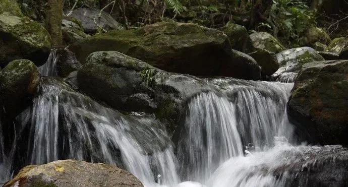 深圳最美最有人气的公园在哪里,深圳最好的十个景区