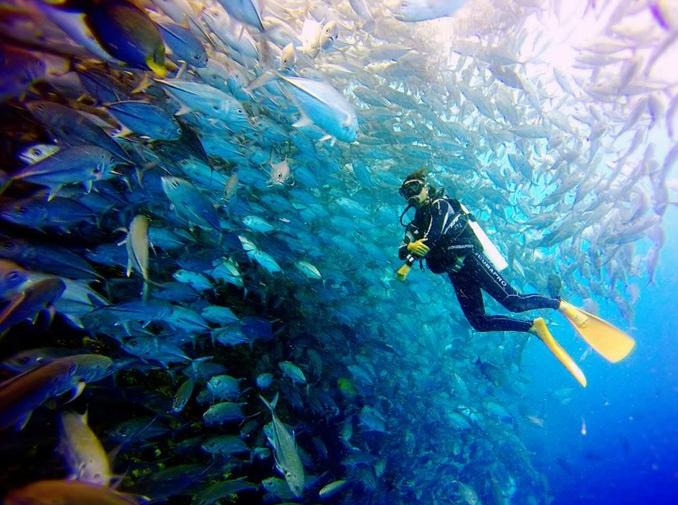 深圳本地旅行社哪家好,深圳旅行社一日游攻略大全