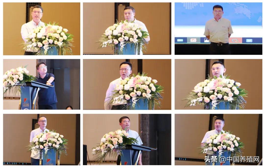 正邦各路英豪“南昌论猪”：誓言今年千亿，三年挺进世界五百强