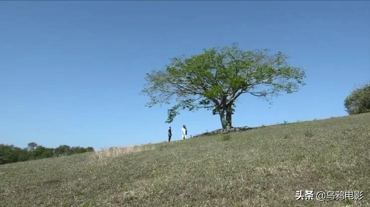 恕我直言综艺完整版在线,恕我直言综艺完整版