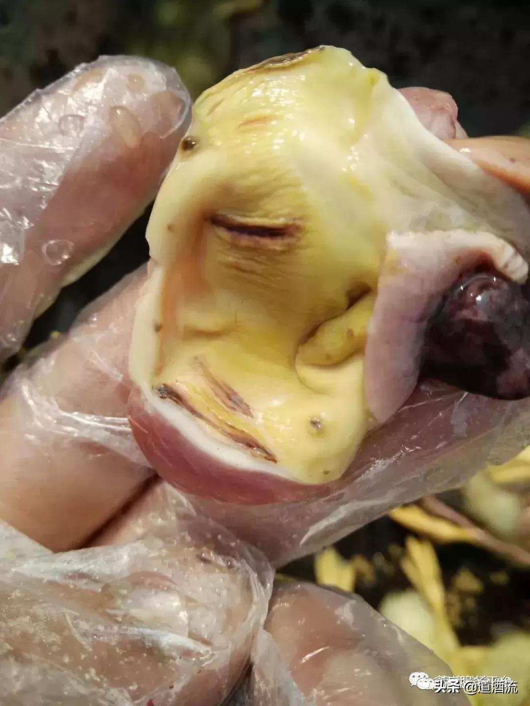 关于肉鸭脾坏死的原因及防治方法，这篇最全面，值得收藏