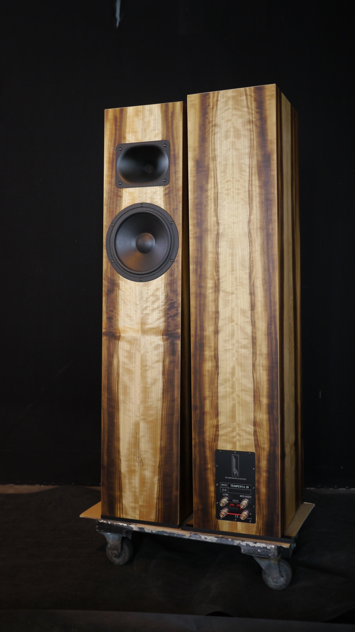 全球十大hifi级音箱品牌,世界顶级hiend音箱