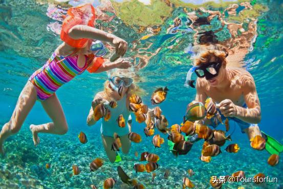 新加坡航线|邮轮低至$264/人