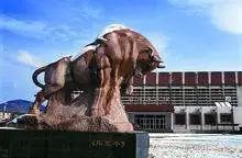 择校攻略民办,择校攻略2019