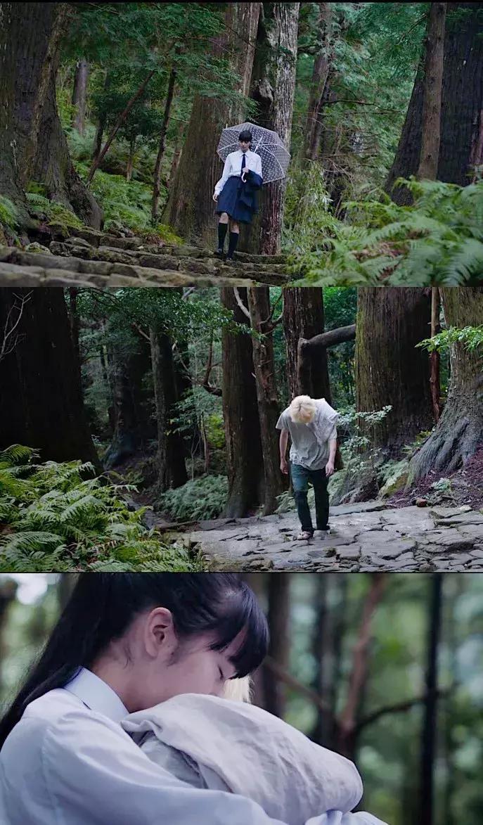 手机拍照怎么拍出电影的感觉照片,手机摄影如何拍出电影感照片