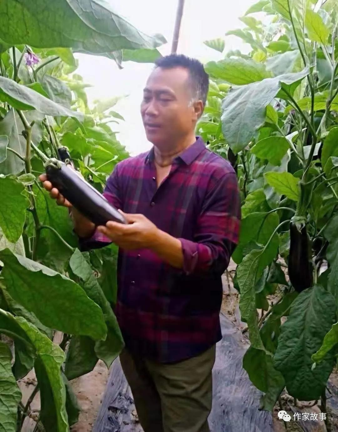 描写下厨的散文,赞美亲自下厨心情散文