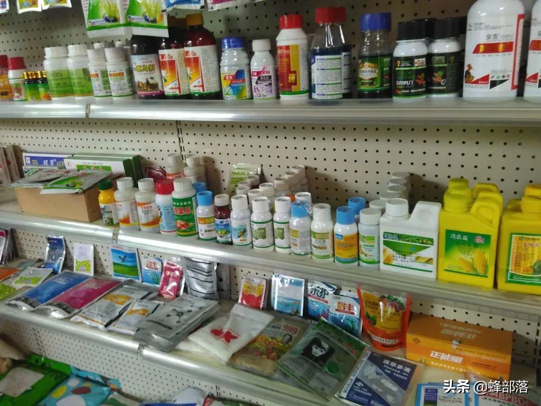 未来农村十大项目,农村最新项目商机