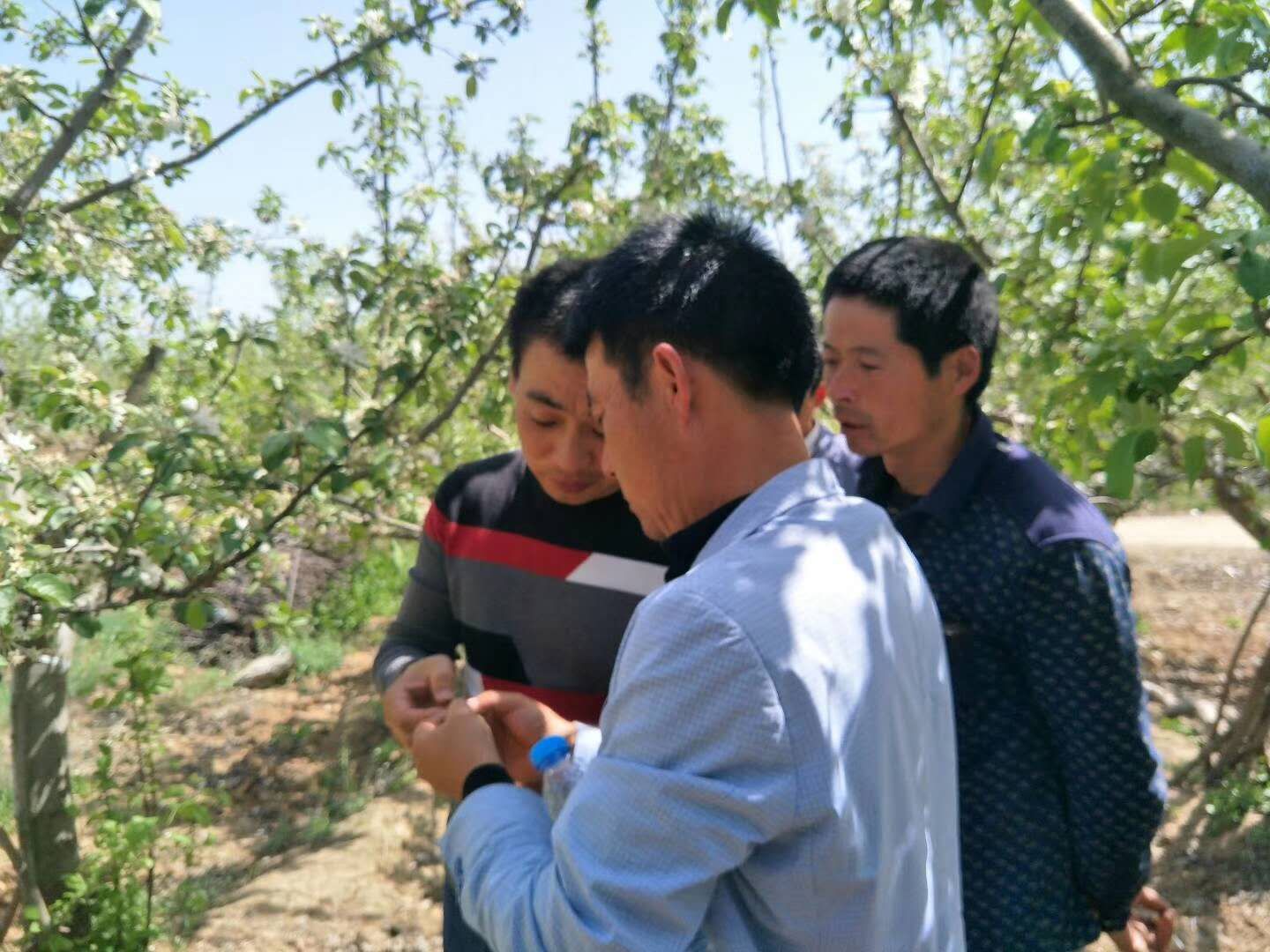 涔惧幙鍐滄妧绔欑珯闀垮惔鏅撴斂,鏋滃啘鐨勮创蹇冧汉