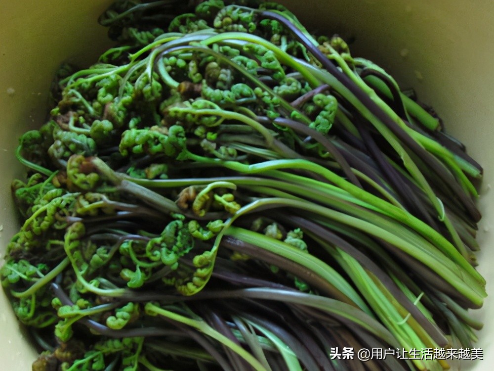 龙胜哪儿有好看的景区,广西的龙胜有什么好玩的