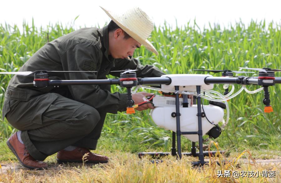 肥害后可以喷施叶面肥吗,喷叶面肥出现肥害怎么办