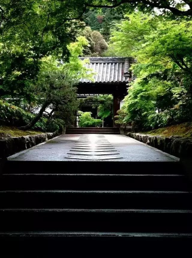 人生不过一字,人生不过一个字精辟