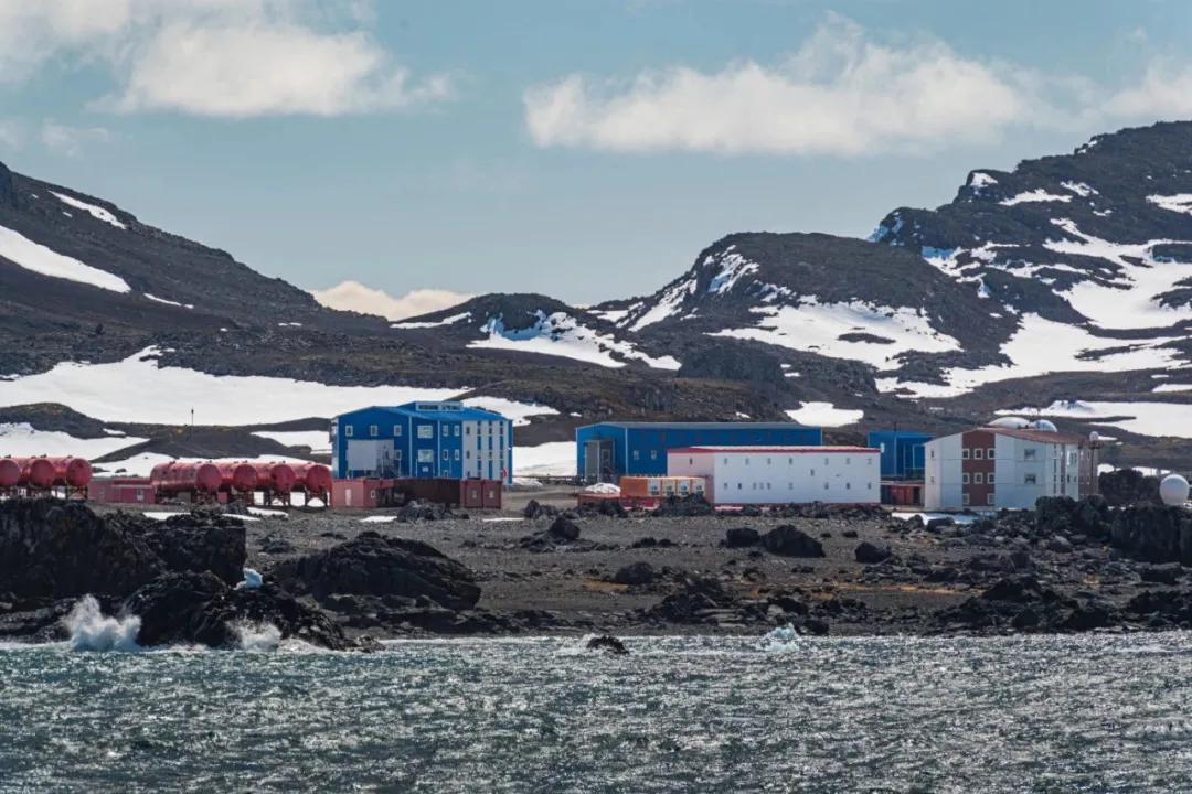 北海布氏鲸视频,广西北海布氏鲸图片