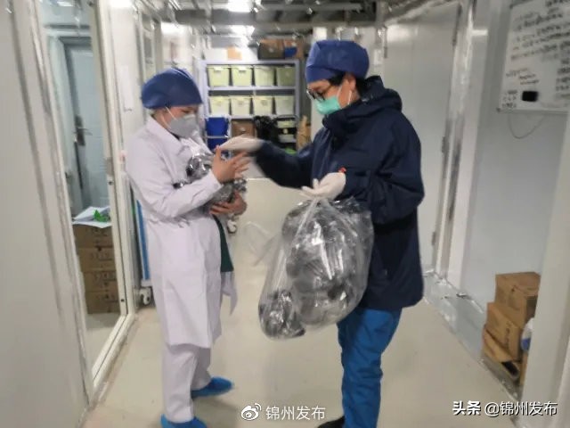 一线医护人员抗击疫情巾帼英雄谱,一线抗疫群英谱郝慧守牢空中防线