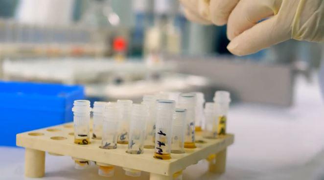 最新研究发现：辣椒素可以用来治疗肺癌，但也有副作用