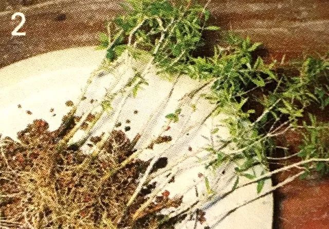 看石榴盆景的造型和制作技术,石榴盆景速成方法图片