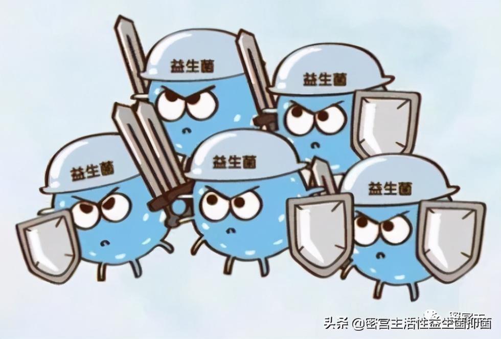 女性私护活性益生菌抑菌片有用吗,妇科微生态平衡益生菌