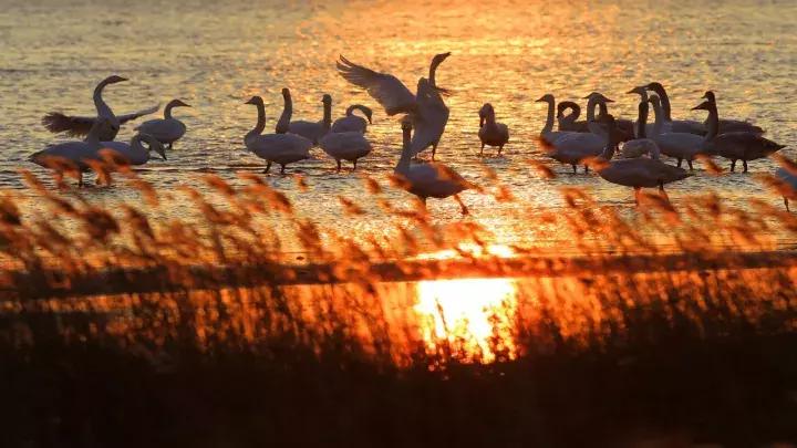 威海冬天旅游攻略四天三晚攻略,威海冬天旅游攻略行程安排