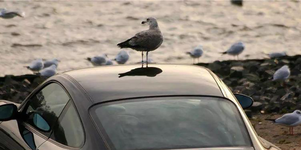 汽车维护与保养心得体会,汽车维护与修理感想300字