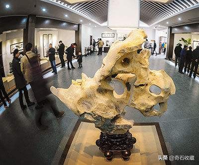 玩石头去哪里玩,中国最大的奇石市场在哪里