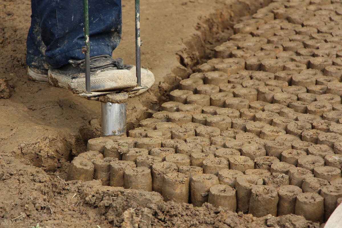 尿液对土壤有影响吗,土壤浇营养液能改善土壤吗