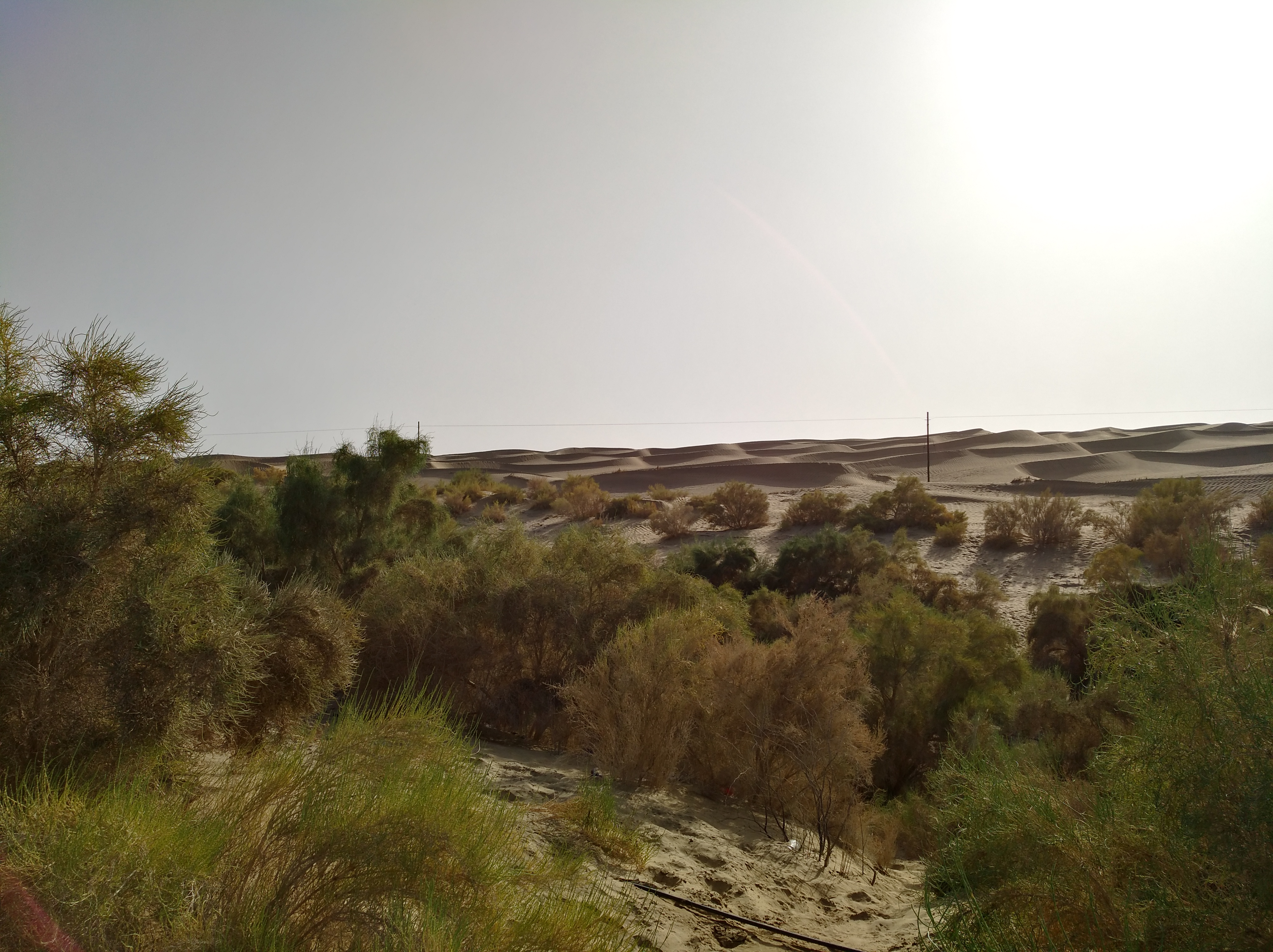 13000公里新手独驾*疆新**第23天——穿越塔克拉玛干沙漠，遭遇陷车