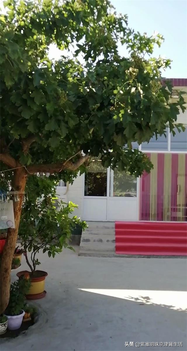 被遗忘的农家小院,蓟县八仙山评价高的农家院