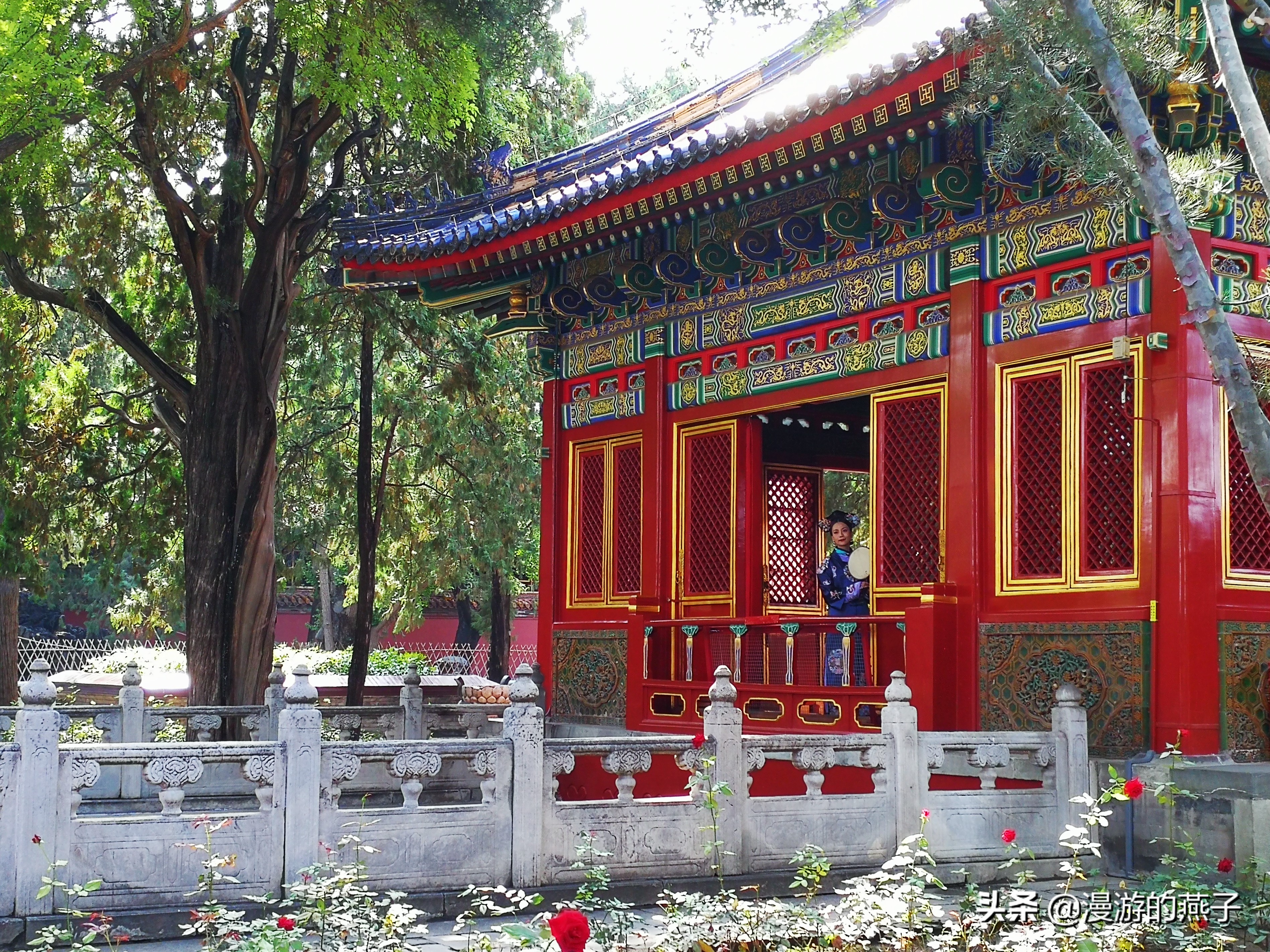 故宫神秘的宁寿宫花园,慈宁宫花园又称为什么花园