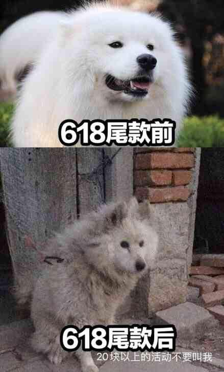 618你们有什么推荐好物嘛,618必买的十件好物